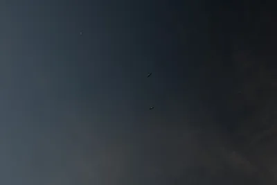 DSC_0266 (Large).JPG